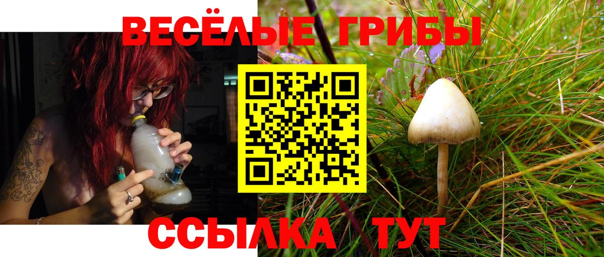 Псилоцибиновые грибы GOLDEN TEACHER Жуковский
