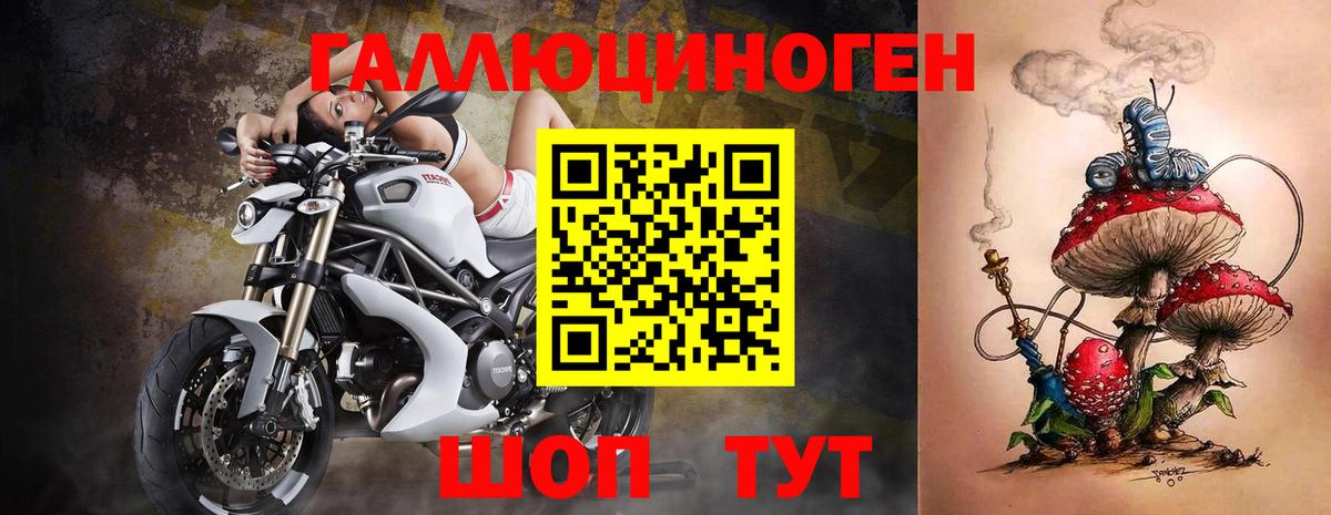 Псилоцибиновые грибы Psilocybe  Вход с VPN  Жуковский 
